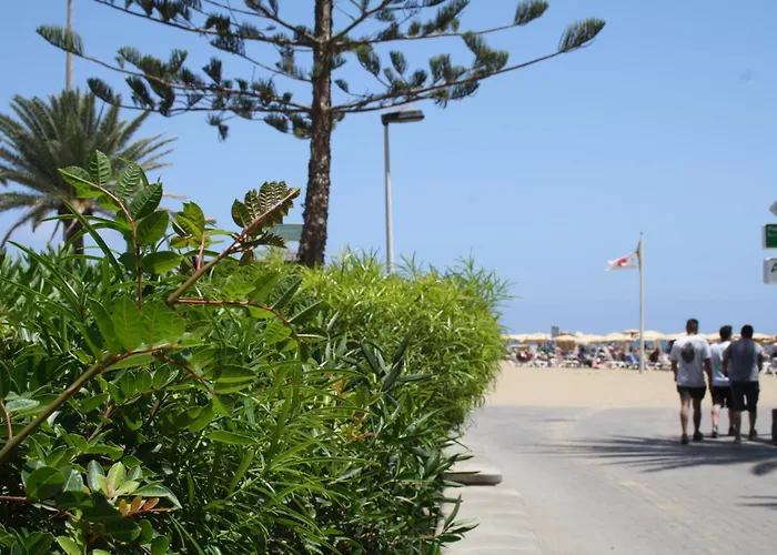 Διαμέρισμα Relax Verdemar *